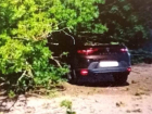 Курская мэрия выплати 500 тысяч рублей за автомобиль, разбитый деревом