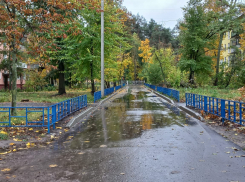 Похолодание до +3 градусов и дожди продолжатся в Курской области 25 октября