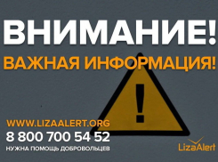 Курский отряд «ЛизаАлерт» закрыл 38 заявок по поиску людей из почти 500