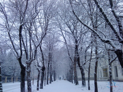 Прогноз погоды в Курске на 27 января: снег и температура от -5°С до +2°С