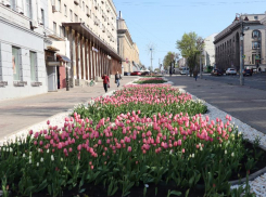 Старовойт заявил об изменениях в лучшую сторону облика Курска за 5 лет