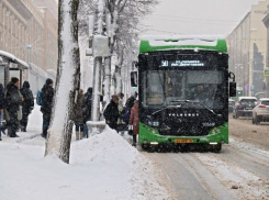 В Курске каждый пятый пассажир общественного транспорта не оплачивает проезд