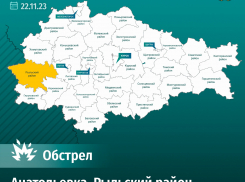 Курскую деревню Анатольевка обстреляли со стороны Украины