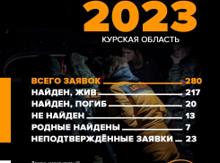 Волонтеры курского поискового отряда «Лиза Алерт» за год спасли 217 человек