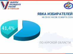 В Курской области явка избирателей на выборах президента 15 марта превысила 41%