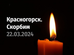 Глава Курской области выразил соболезнования родным погибших при ЧП в «Крокусе»