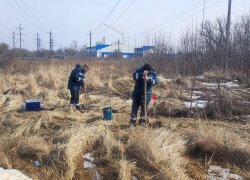 В Курской области вредный прошлогодний снег складировали с нарушениями