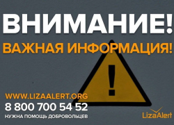 Курский отряд «ЛизаАлерт» закрыл 38 заявок по поиску людей из почти 500