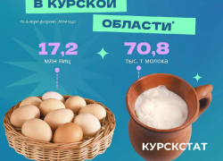 Хозяйства Курской области на 1,3% увеличили производство молока и яиц