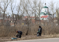 В Курске в пятницу прошел массовый субботник