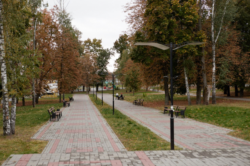 После дождичка в четверг курян ожидает дождь в пятницу 13-го