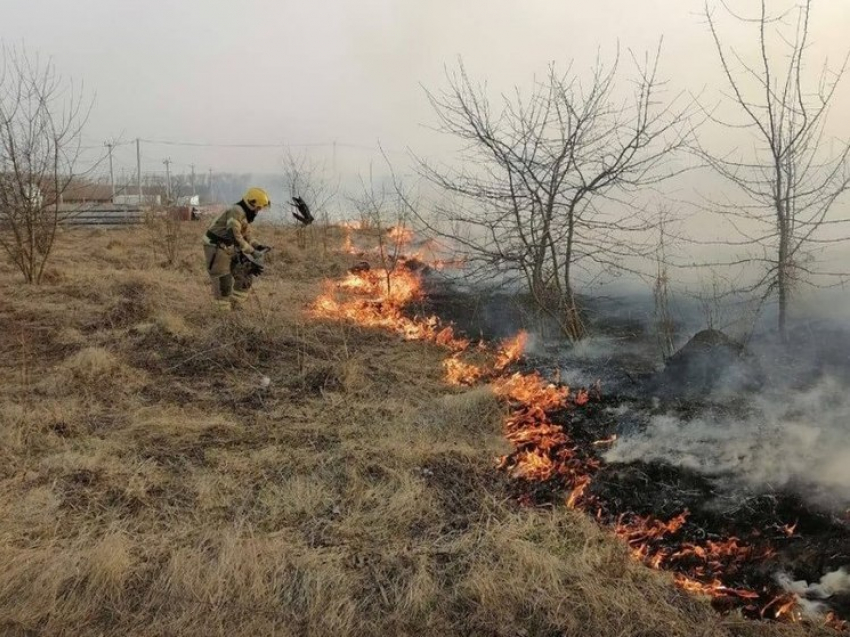 На севере Курска сухая трава загорелась на площади 1500 квадратных метров