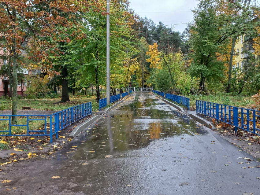 Похолодание до +3 градусов и дожди продолжатся в Курской области 25 октября