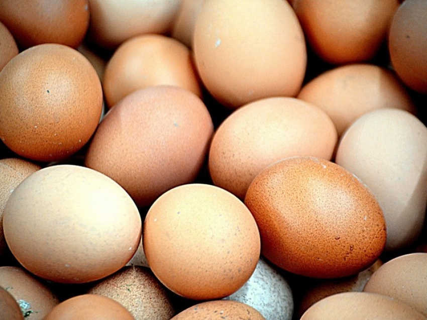 В Курской области отметили спад цен на яйца и подорожание курятины