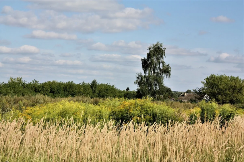 Суд принял решение об изъятии земельного участка у жителя Курской области